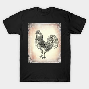 Antique Rooster on the Farm: Farmhouse decor T-Shirt